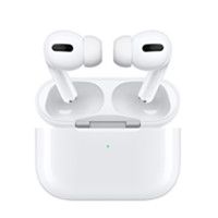 Earphones